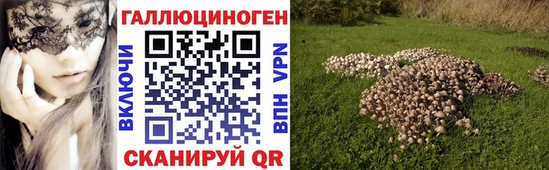 Псилоцибиновые грибы прущие грибы  Верхнеуральск 